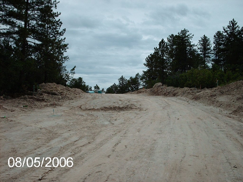 Hidden Forest 002.jpg